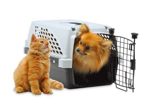 新着商品】x 横幅39 (奥行59 x 対応ペット参考体重7㎏ 高さ33 cm