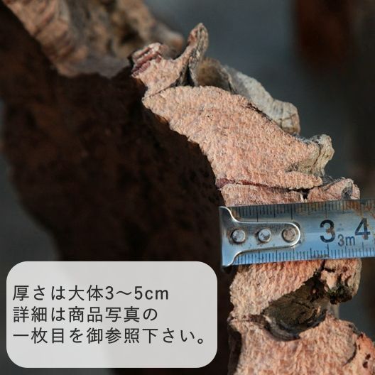 B025 ポルトガル産 厚め コルク樹皮 コルク板 バージンコルク 送料無料