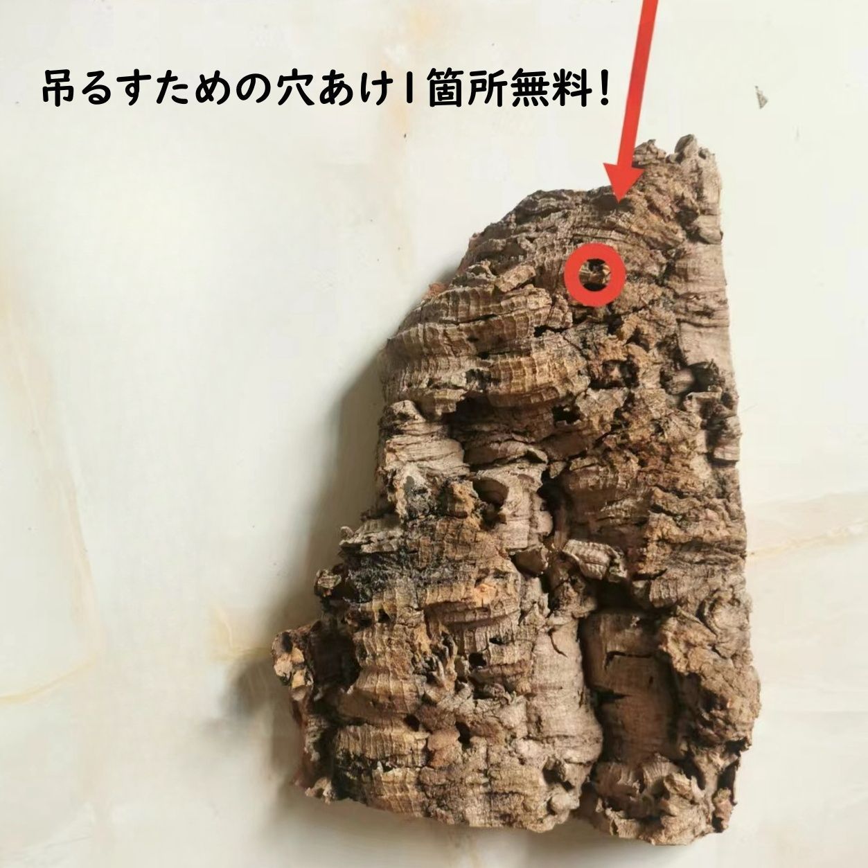 B025 ポルトガル産 厚め コルク樹皮 コルク板 バージンコルク 送料無料