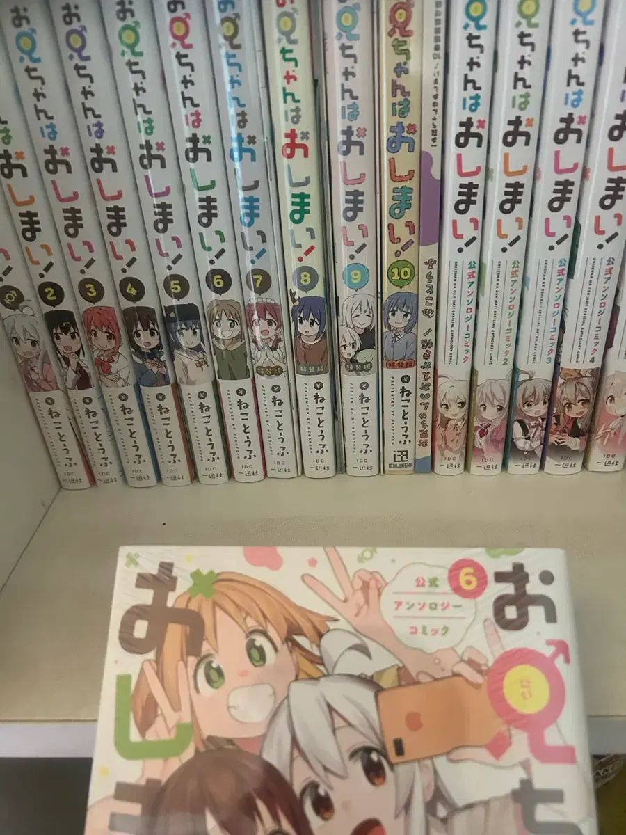 琉球盆栽 希少 島桑 桑 小品盆栽 実物 黎鳳 鉢