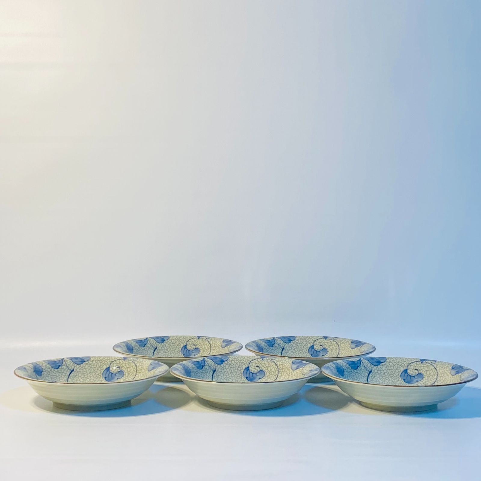 龍峰窯 中皿 5客セット 丸皿 浅皿 花柄 和柄 食器 送料込み フォロー割