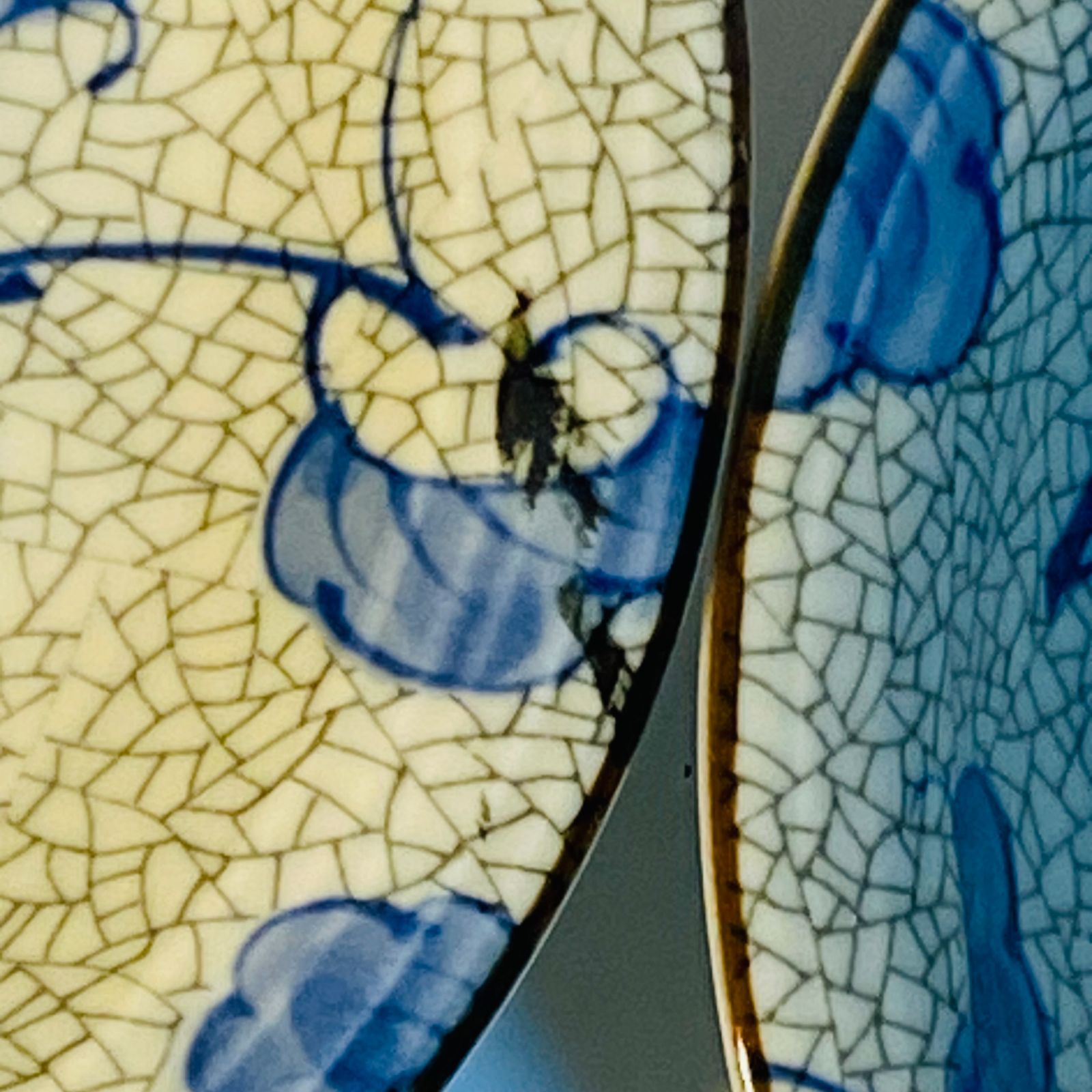 龍峰窯 中皿 5客セット 丸皿 浅皿 花柄 和柄 食器 送料込み フォロー割