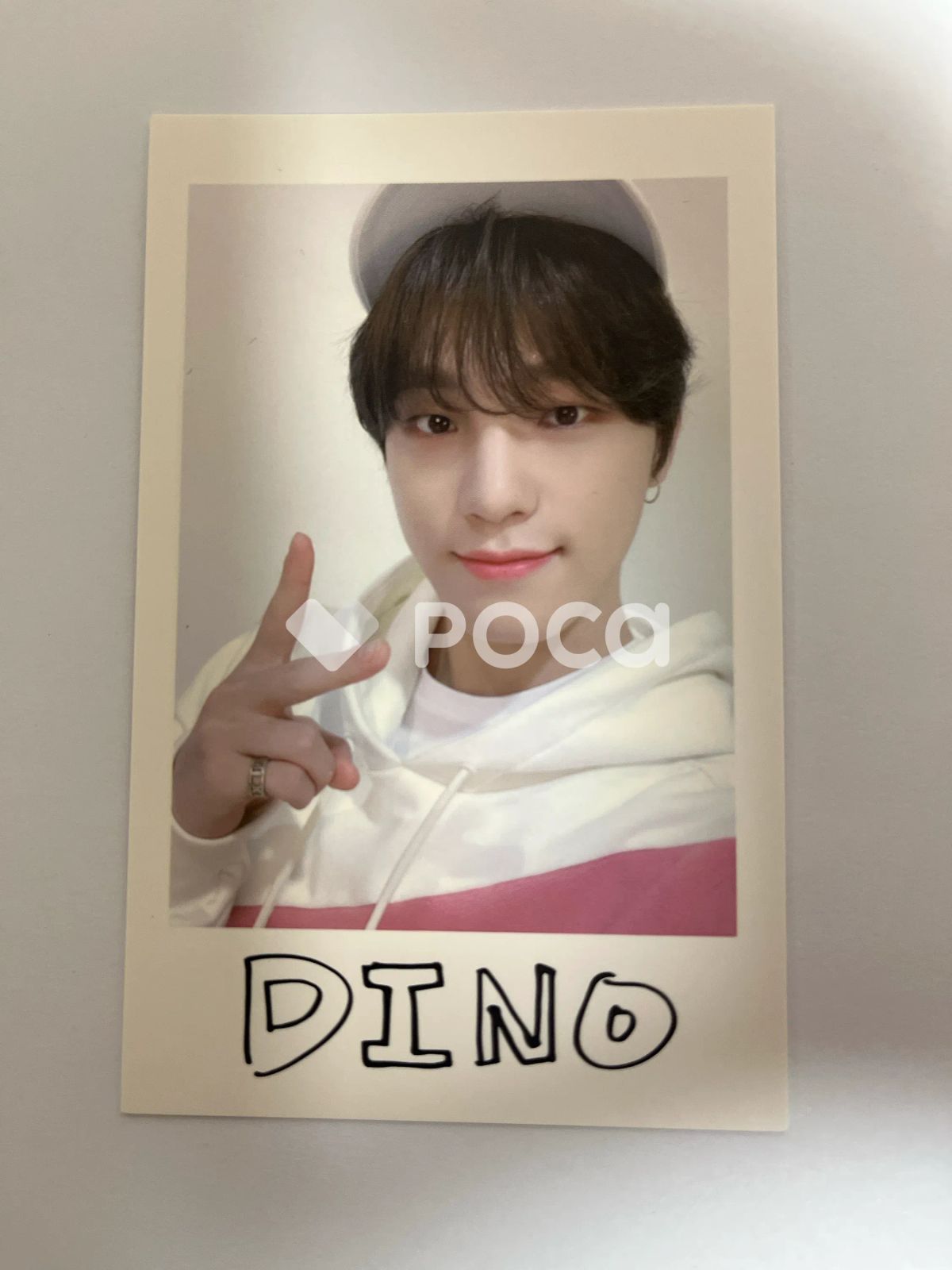 Seventeen ディノ セブチ 2020 SVT 4th FAN MEETING SEVENTEEN in