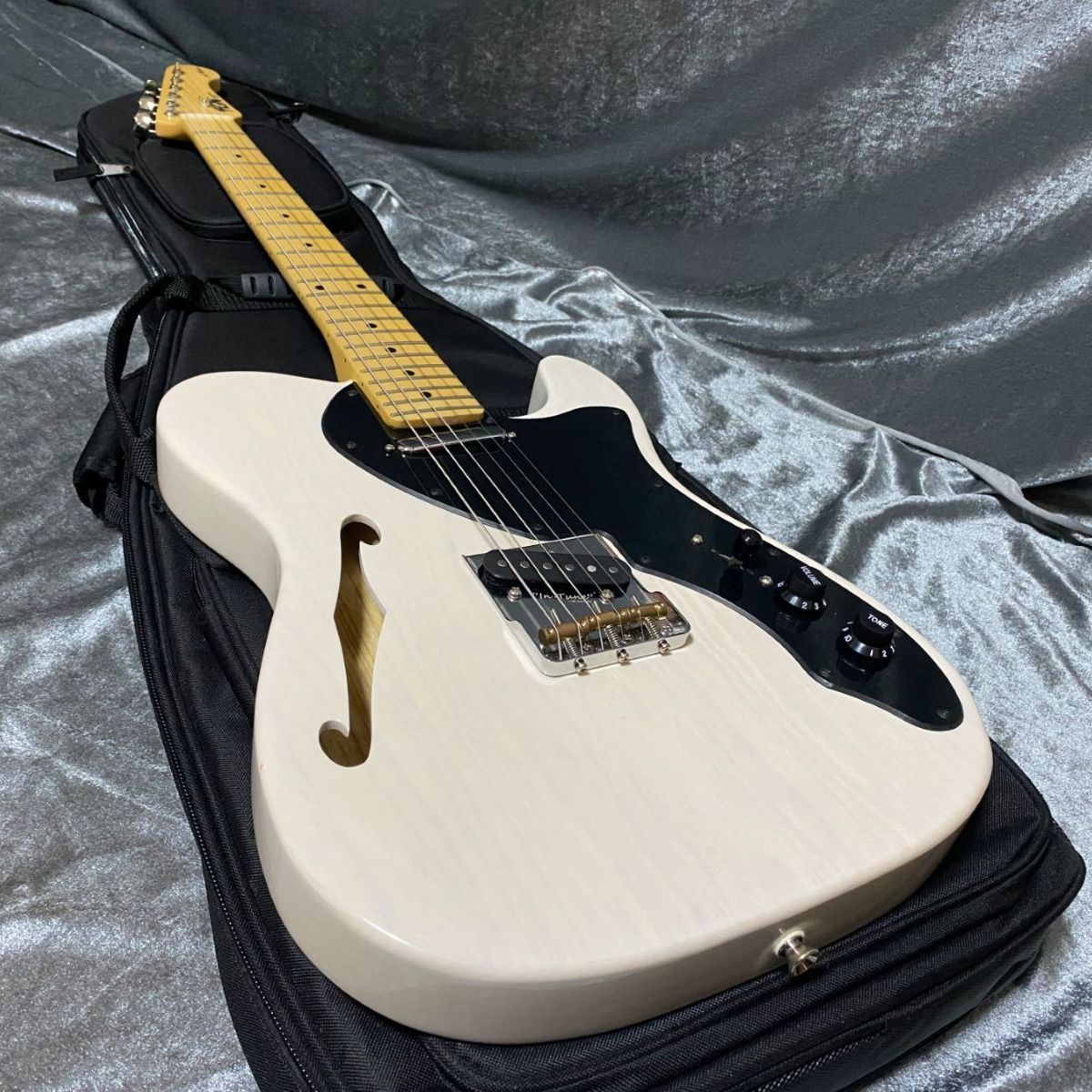 ☆美品！ FUJIGEN フジゲン NTE11MAHT MOD テレキャスターシンライン