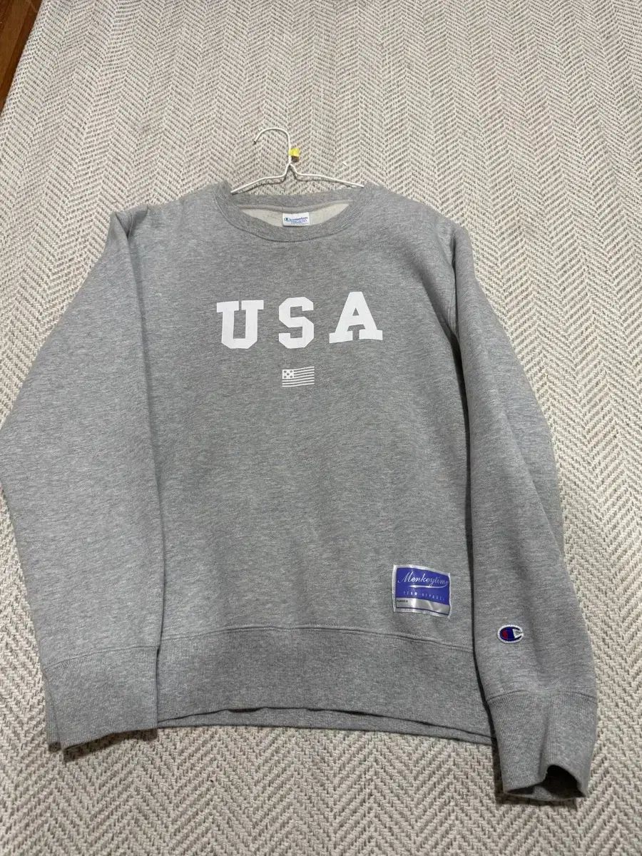 チャンピオン リバースウィーブ ブルー タグ スウェット