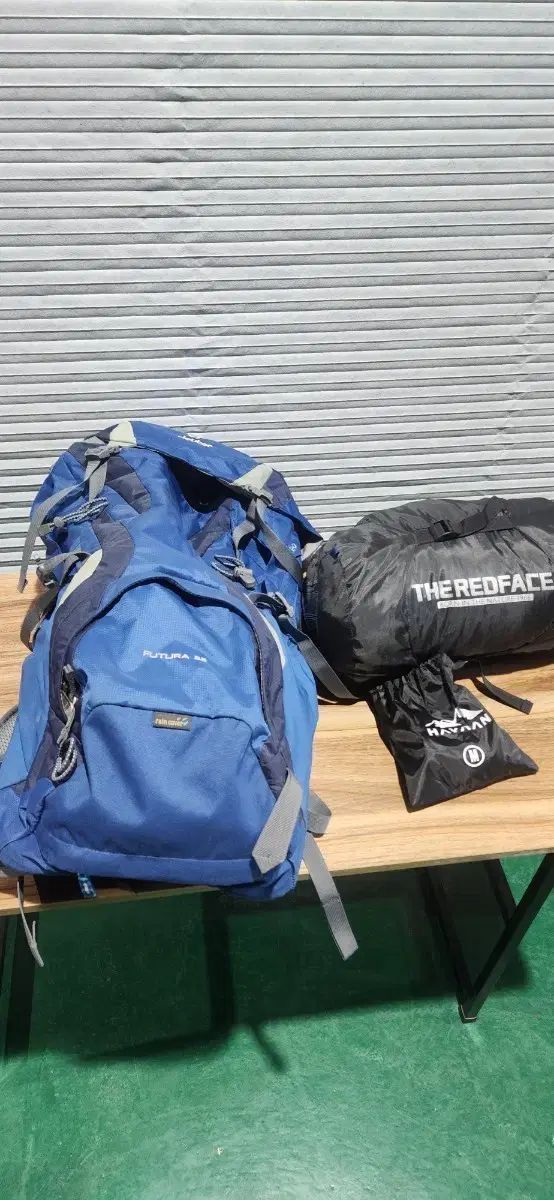 カイエ コレクション 1957-1972 カイエ 1957-1972 シオラン 金井裕訳