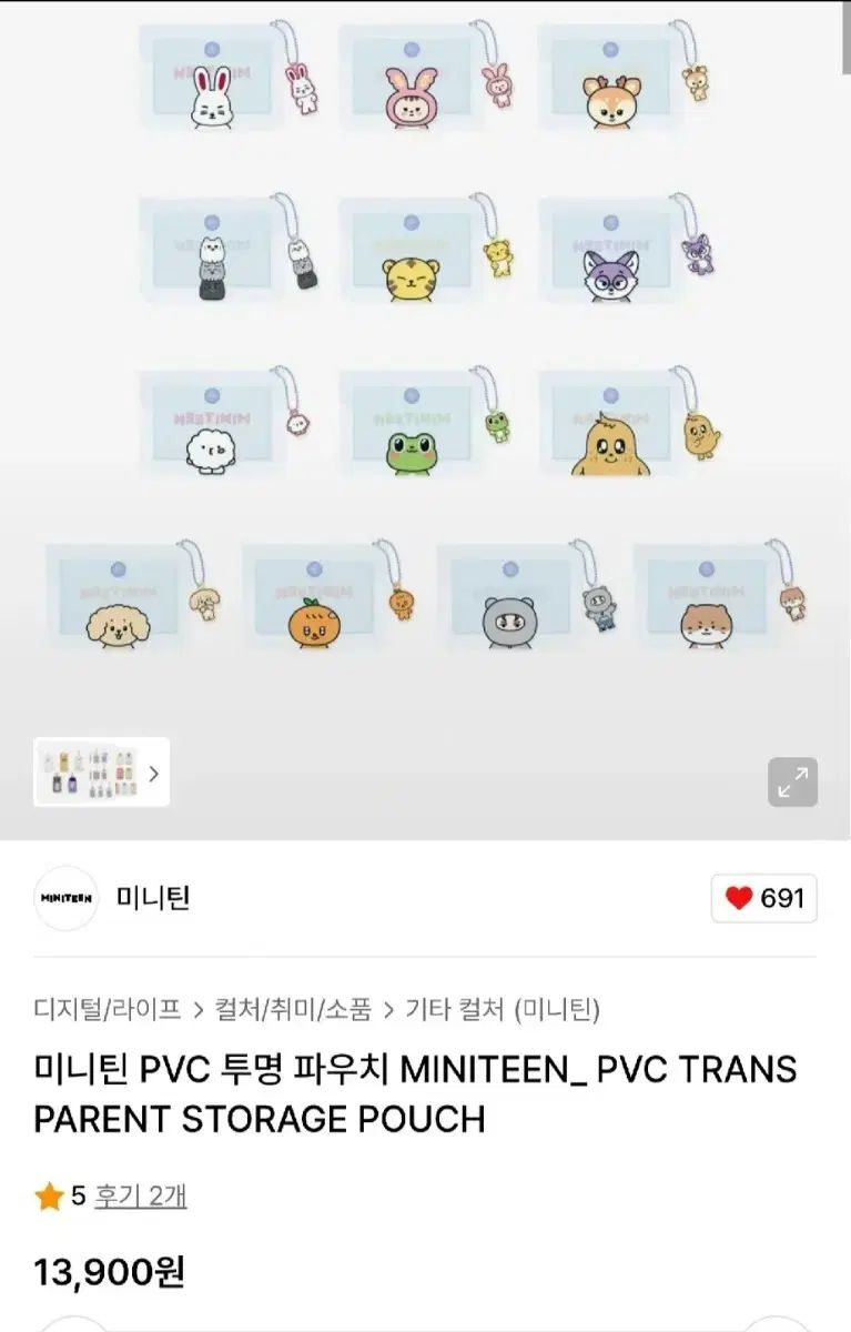 SEVENTEEN ザセム トラベルキット 限定 透明トレカ ジョンハン セブチ SEVENTEEN ミニ トレーディングカード PVC クリア ポーチ (チョン