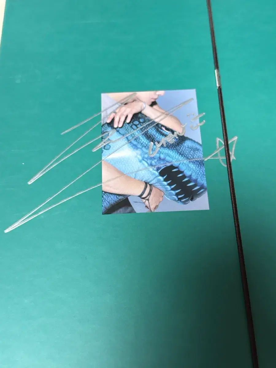 【構築済みデッキ】バグ丸ソンクン【デュエルマスターズ】 Amazon.co.jp: デュエル・マスターズDMD-13 TCG スーパーデッキ MAX