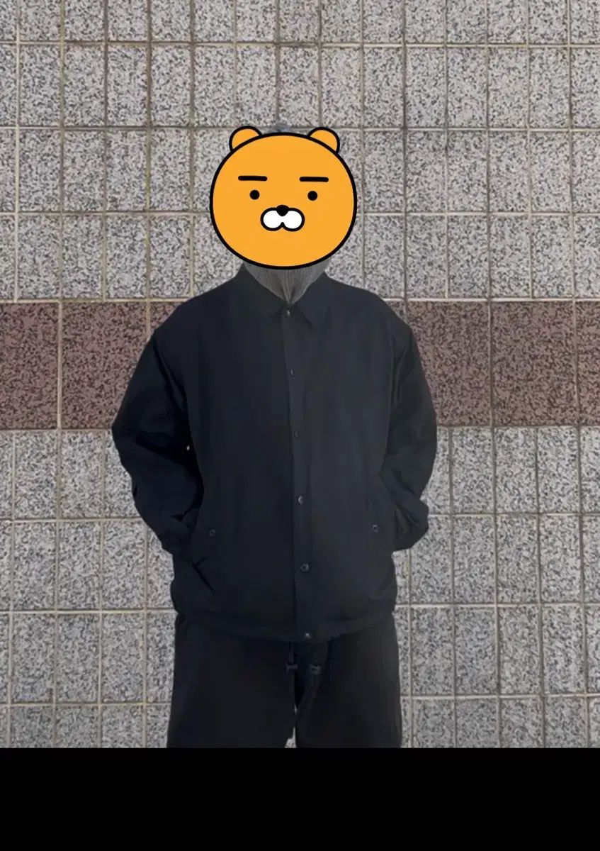 nanamica パープルラベル コーチ ジャケット ブラック THE NORTH FACE ザノースフェイス