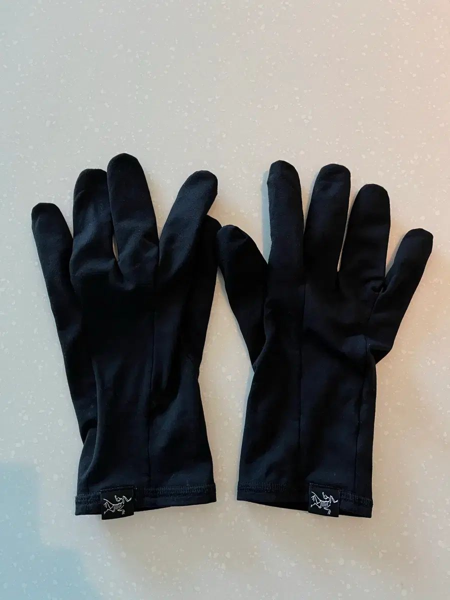 ARC'TERYX アークテリクス 配送 手袋 ARC'TERYX（アークテリクス