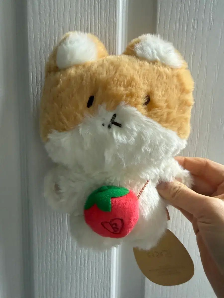 【新品・未使用】ベッキョン　トレギ　Baekhyun TEOLAEGI ラグ EXO（エクソ）ベクヒョン(BAEKHYUN) トレギ TEOLAEGI 20cm 너가 나를