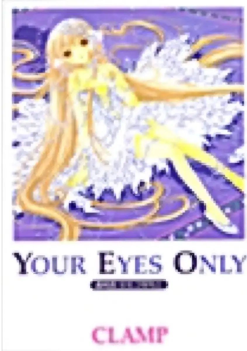 コレクション用) チョビッツ グラフィック 写真 フォト PHOTO お買い得