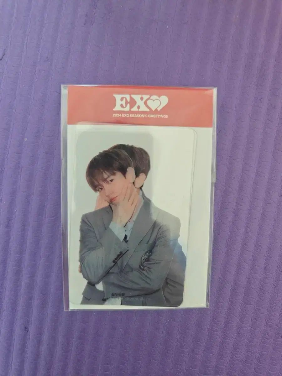 EXO 2024 シーグリ シーズングリーティング ベクヒョン(BAEKHYUN