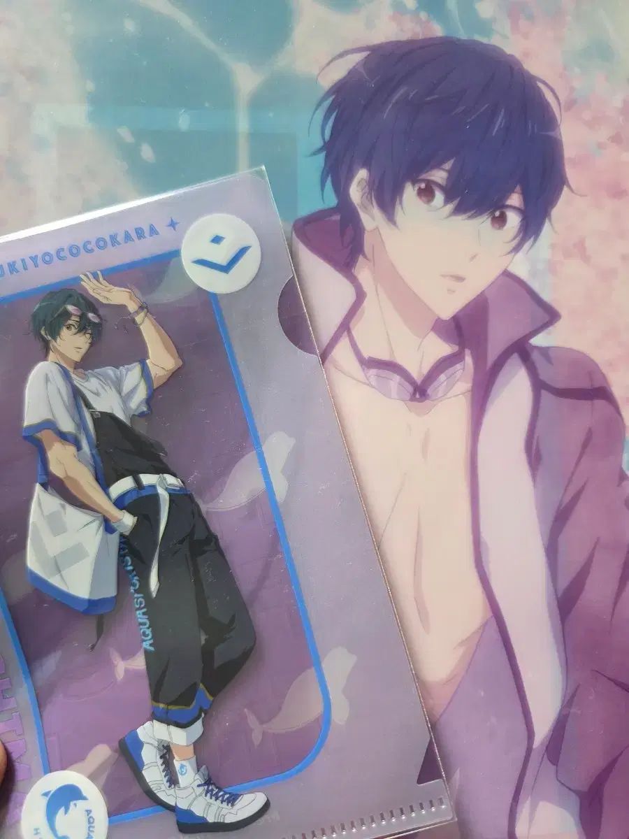 Free 切島 郁弥 ファイル2種 まとめ売り - メルカリ