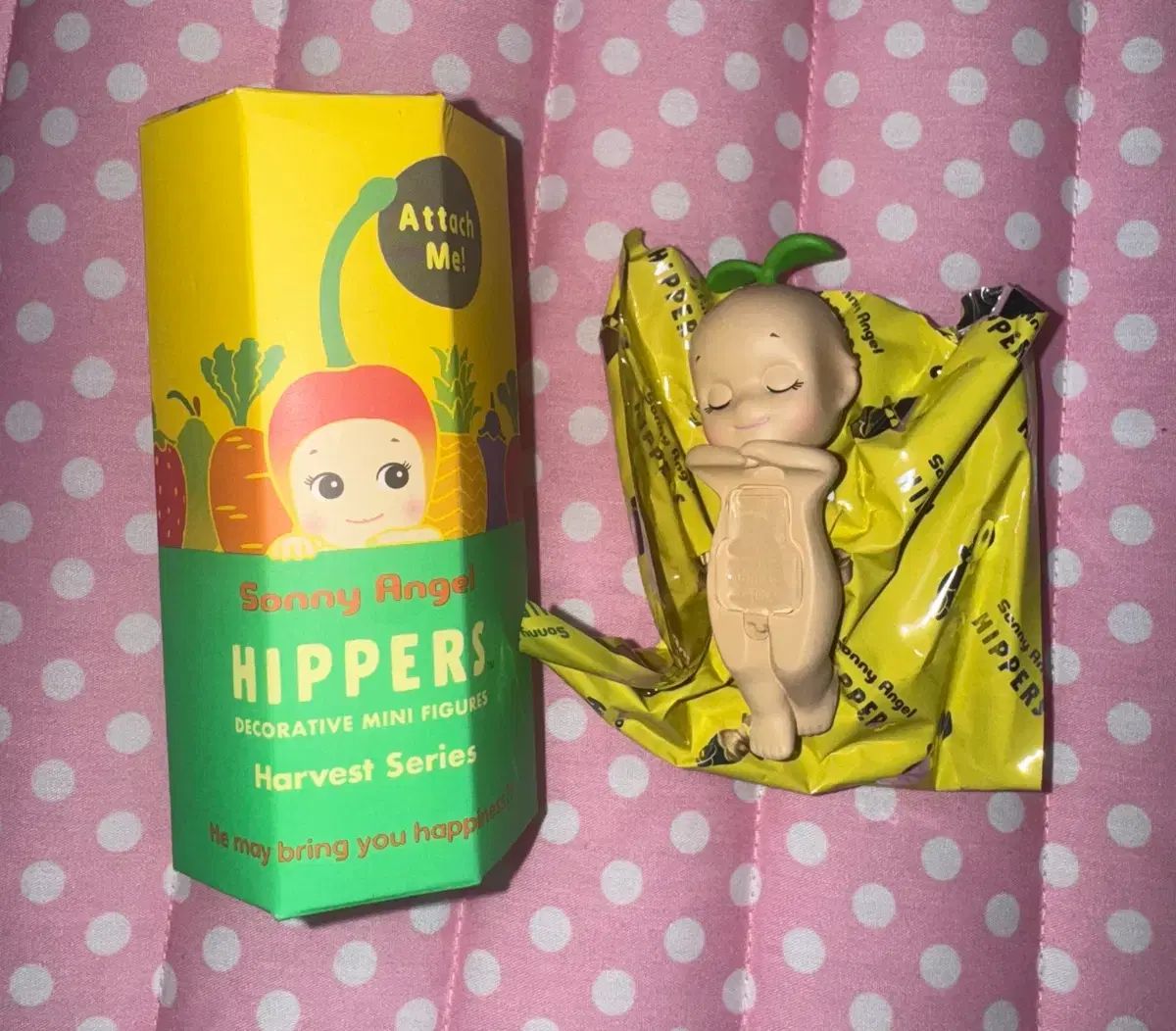 SONNY ANGE 配送 ヒッパー ハーベスト シークレット