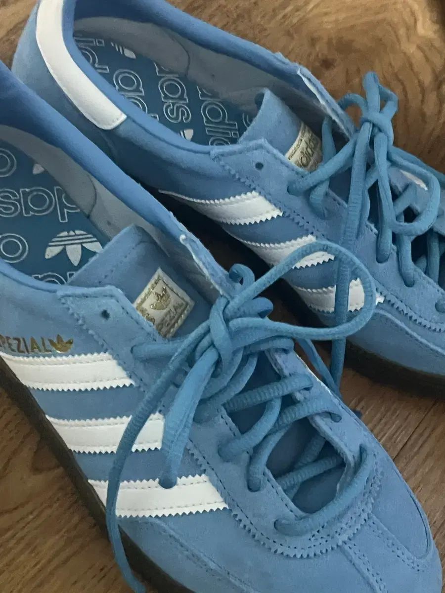 アディダス 最高 スペツィアル ハンドボール ライトブルー 265mm 楽天