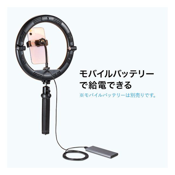 SANWA SUPPLY サンワサプライ WEBカメラ用LEDライト付きスタンド テレワーク CMSSTN2BK (2508846) CMS-STN2BK サンワサプライ SANWA WEBカメラ用LEDライト付きスタンド | ワークライト