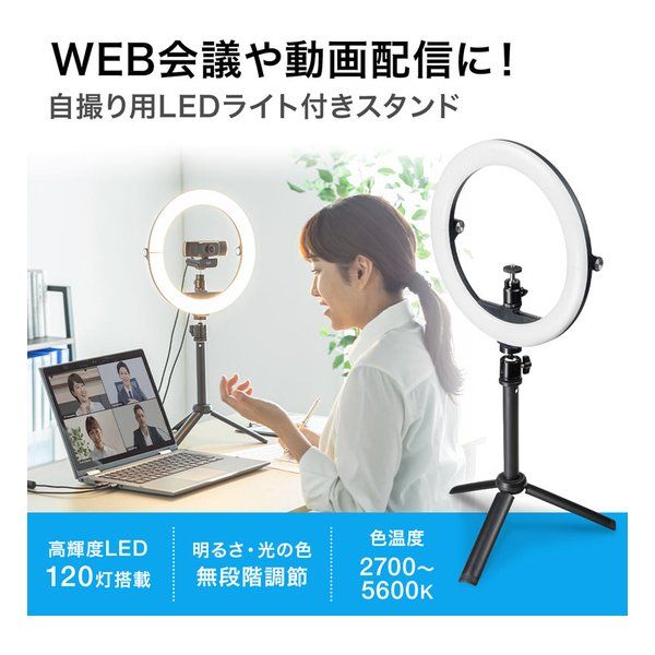 SANWA SUPPLY サンワサプライ WEBカメラ用LEDライト付きスタンド テレワーク CMSSTN2BK (2508846) CMS-STN2BK サンワサプライ SANWA WEBカメラ用LEDライト付きスタンド | ワークライト