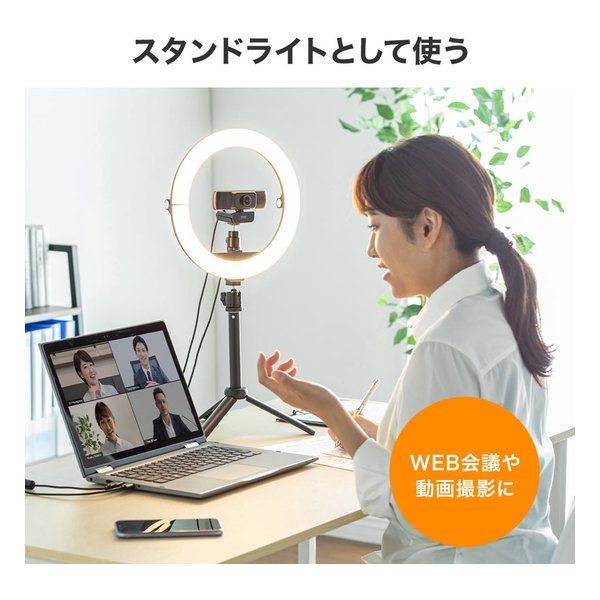 SANWA SUPPLY サンワサプライ WEBカメラ用LEDライト付きスタンド テレワーク CMSSTN2BK (2508846) CMS-STN2BK サンワサプライ SANWA WEBカメラ用LEDライト付きスタンド | ワークライト
