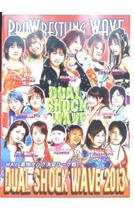 DVD／PROWRESTLING WAVE 最強タッグ決定リーグ戦 DUAL SHOCK WAVE 2013