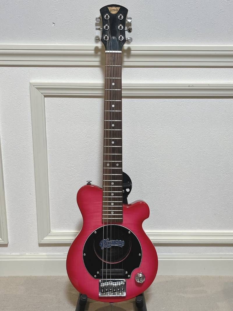 Pignose ミニエレキギター 内蔵アンプ ソフトケース付き ピグノース製