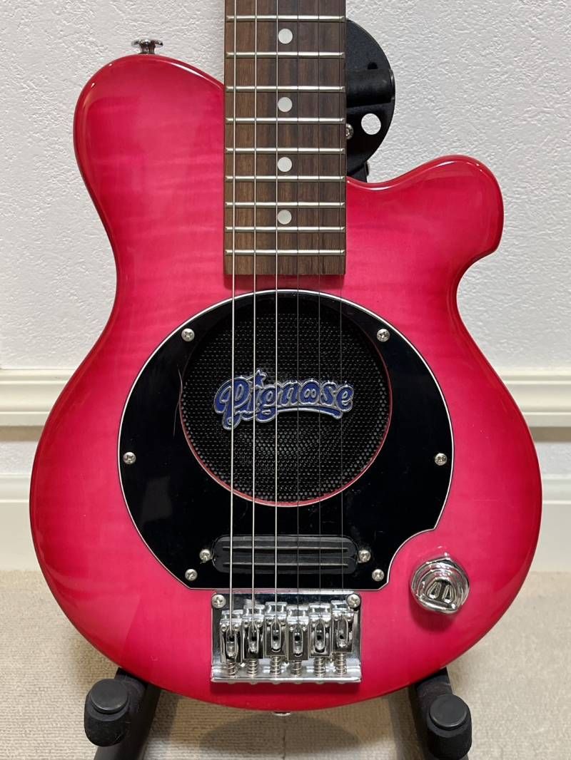 Pignose ミニエレキギター 内蔵アンプ ソフトケース付き ピグノース製