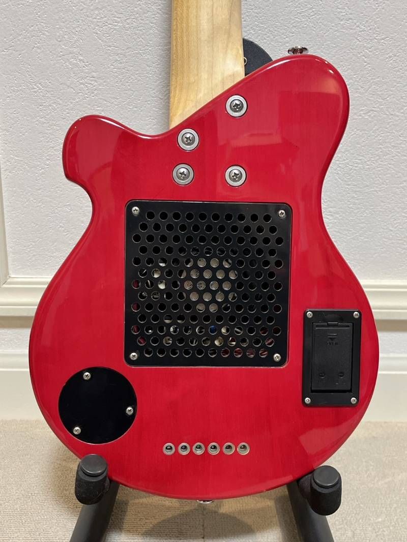 Pignose ミニエレキギター 内蔵アンプ ソフトケース付き ピグノース製