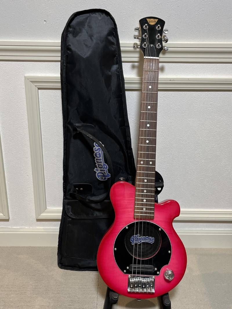 Pignose ミニエレキギター 内蔵アンプ ソフトケース付き ピグノース製