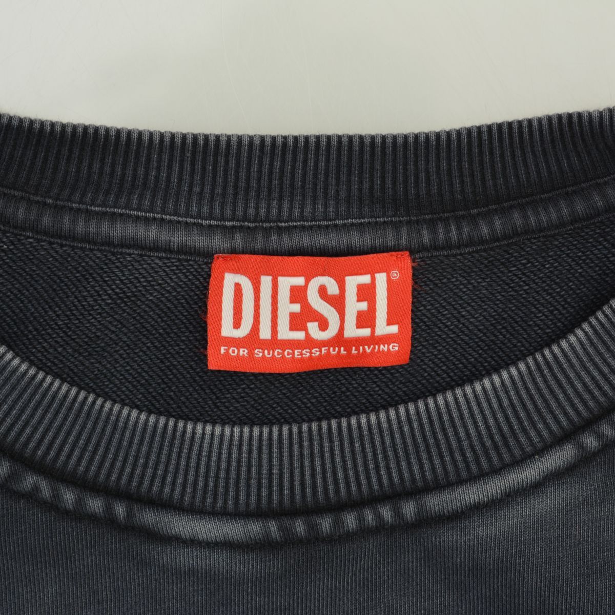 DIESEL】S-GINN-DOV-PE A03775長袖スウェット - メルカリ