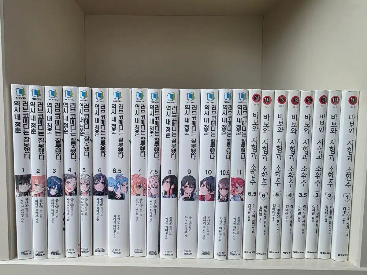 新作入荷，新作入荷，HOT やはり俺の青春ラブコメはまちがっている。バカとテストと召喚獣 まとめ売り 文学・小説