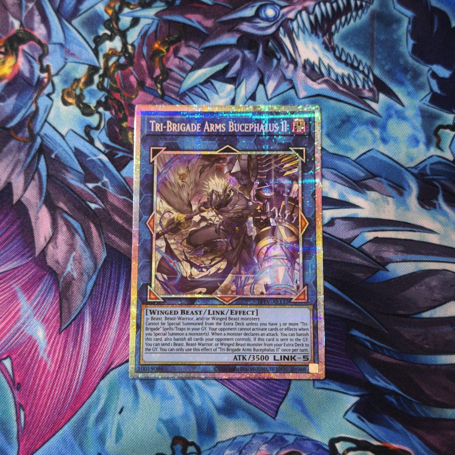 PSA10】ブラック・マジシャン・ガール ノーマル LG01-JP003 N 遊戯王