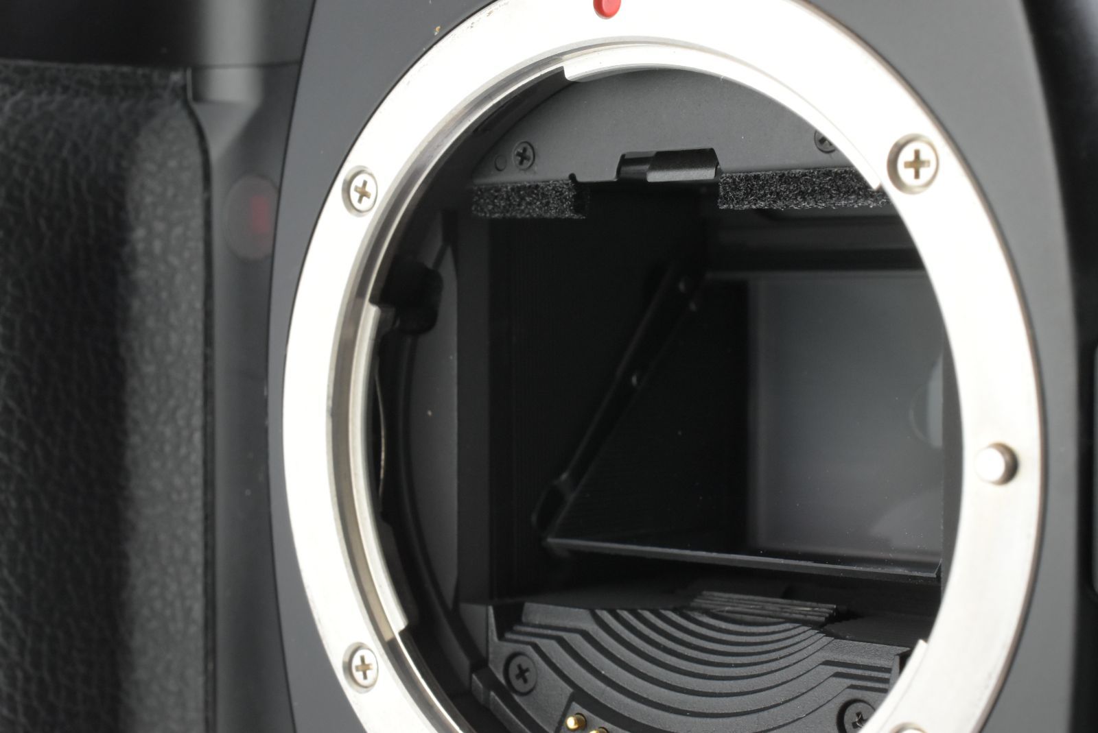 [動作品] Canon EOS-1N フィルムカメラ Canon EOS-1N Camera Review • scott locklear