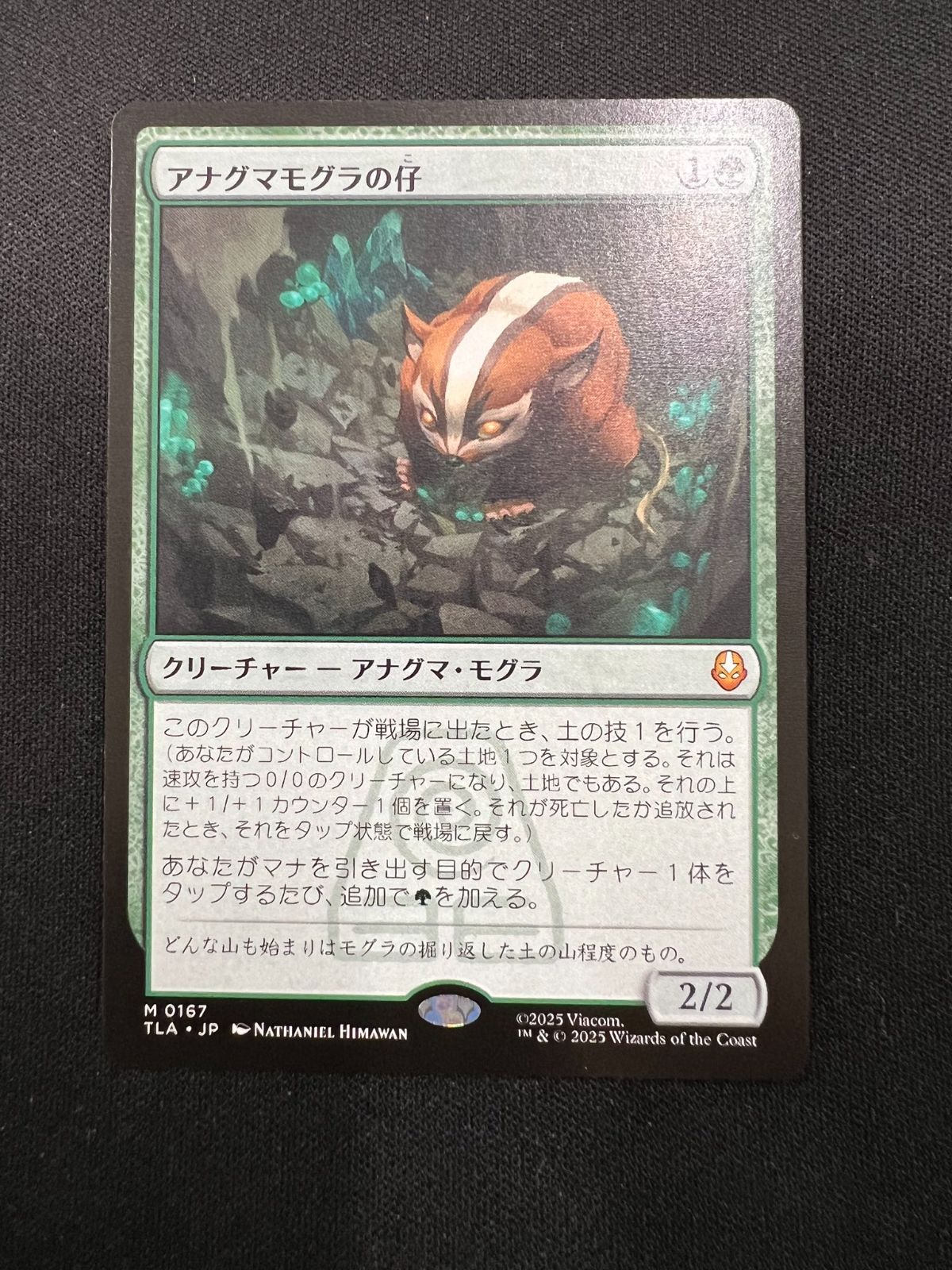 MTG アナグマモグラの仔 アバター伝説の少年アン 日本語版 - メルカリ