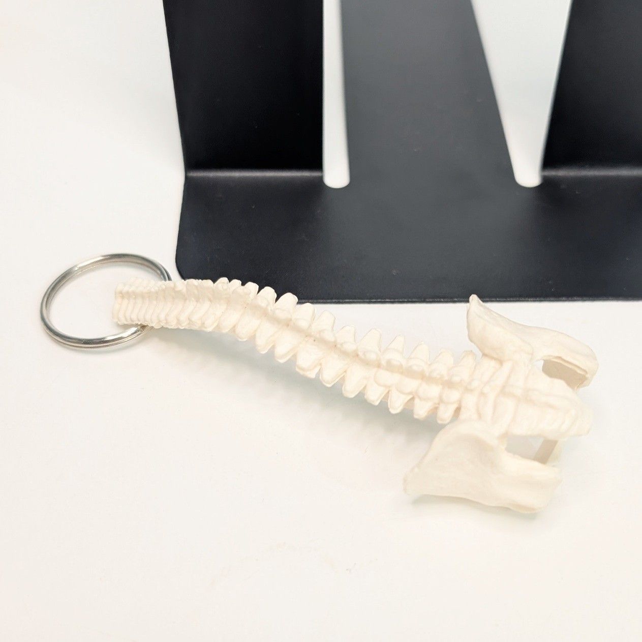 背骨キーホルダー 脊柱模型 脊髄骨盤 骨格標本 - メルカリ