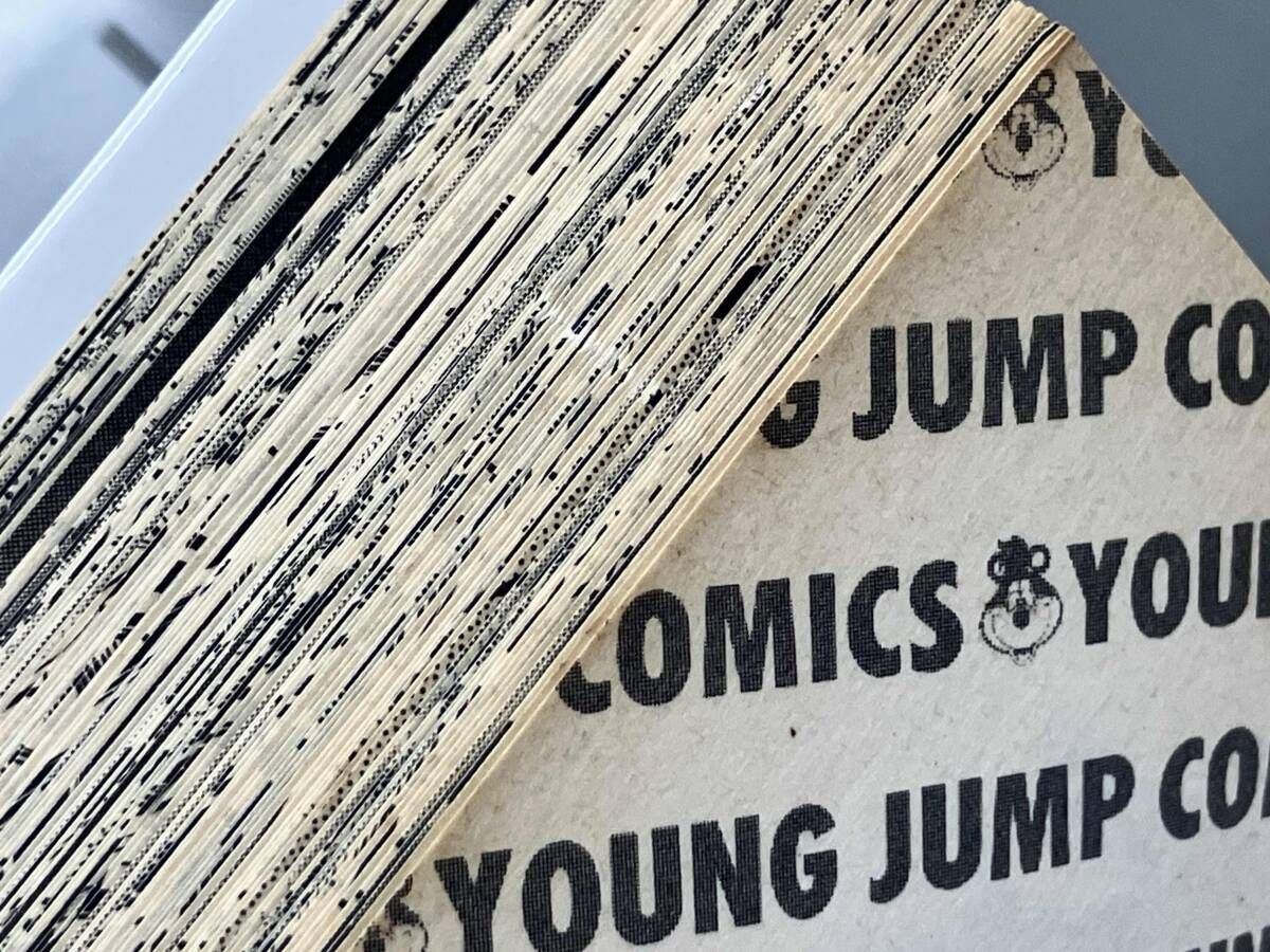 全巻セット 初版 夜叉鴉 荻野真 ヤングジャンプコミックス - メルカリ