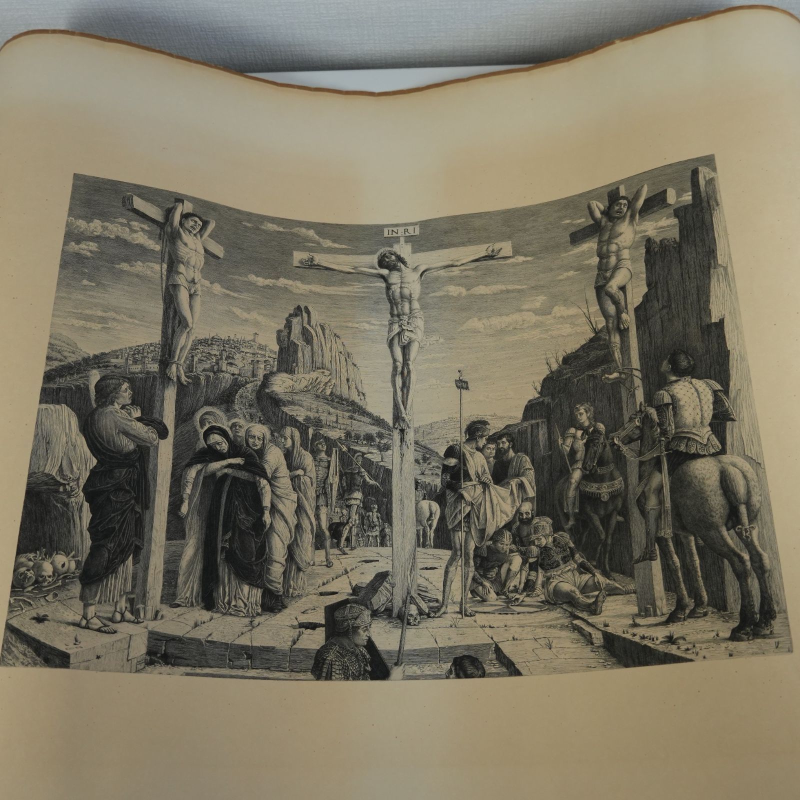 1825年フランスアンティークリトグラフ　フランスアンティーク版画　植物画　大判 1825年フランスアンティークリトグラフ フランスアンティーク版画 植物