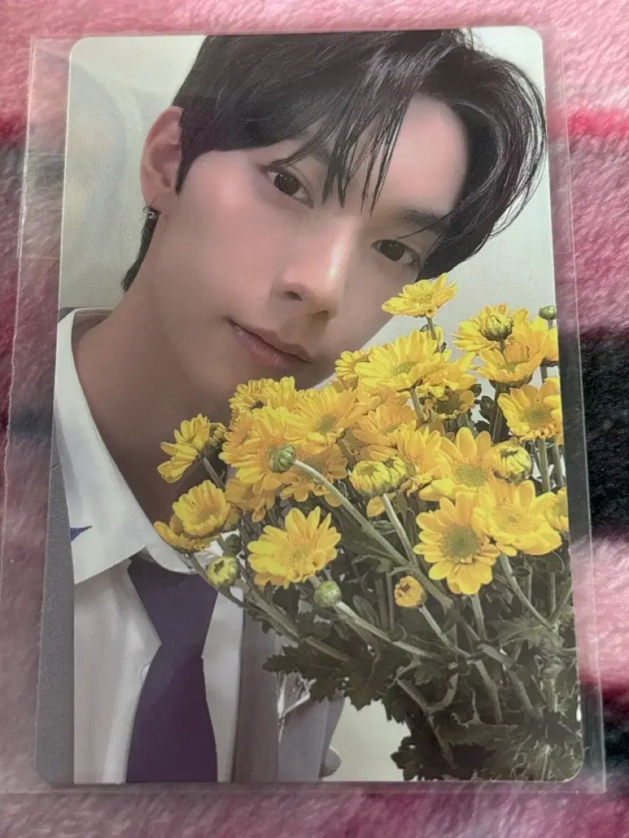 BOYS PLANET（ボイプラ） ブルーアーカイブ・ブルアカ 展示会 2週目