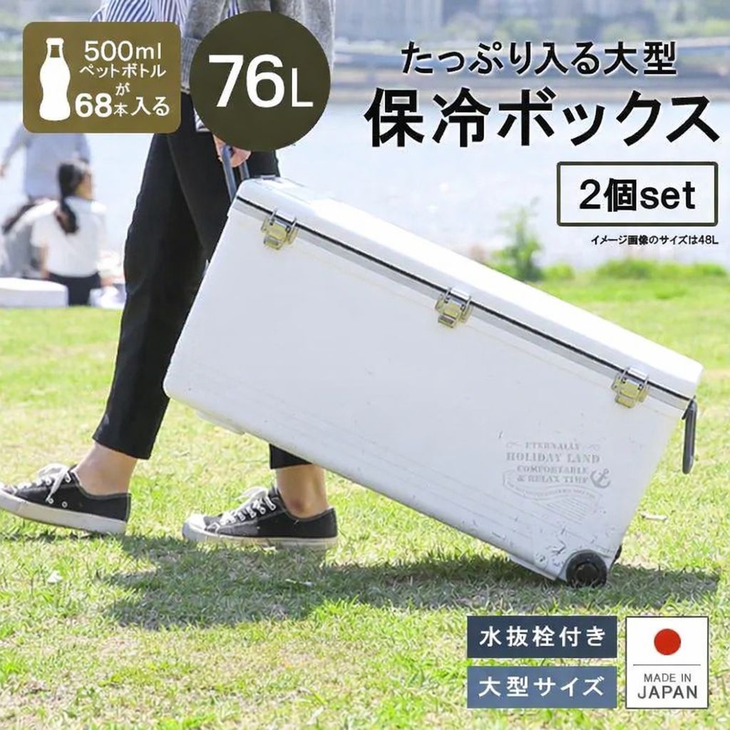 2個セット 伸和(SHINWA) 日本製 保冷 保温 クーラーボックス ホリデー 