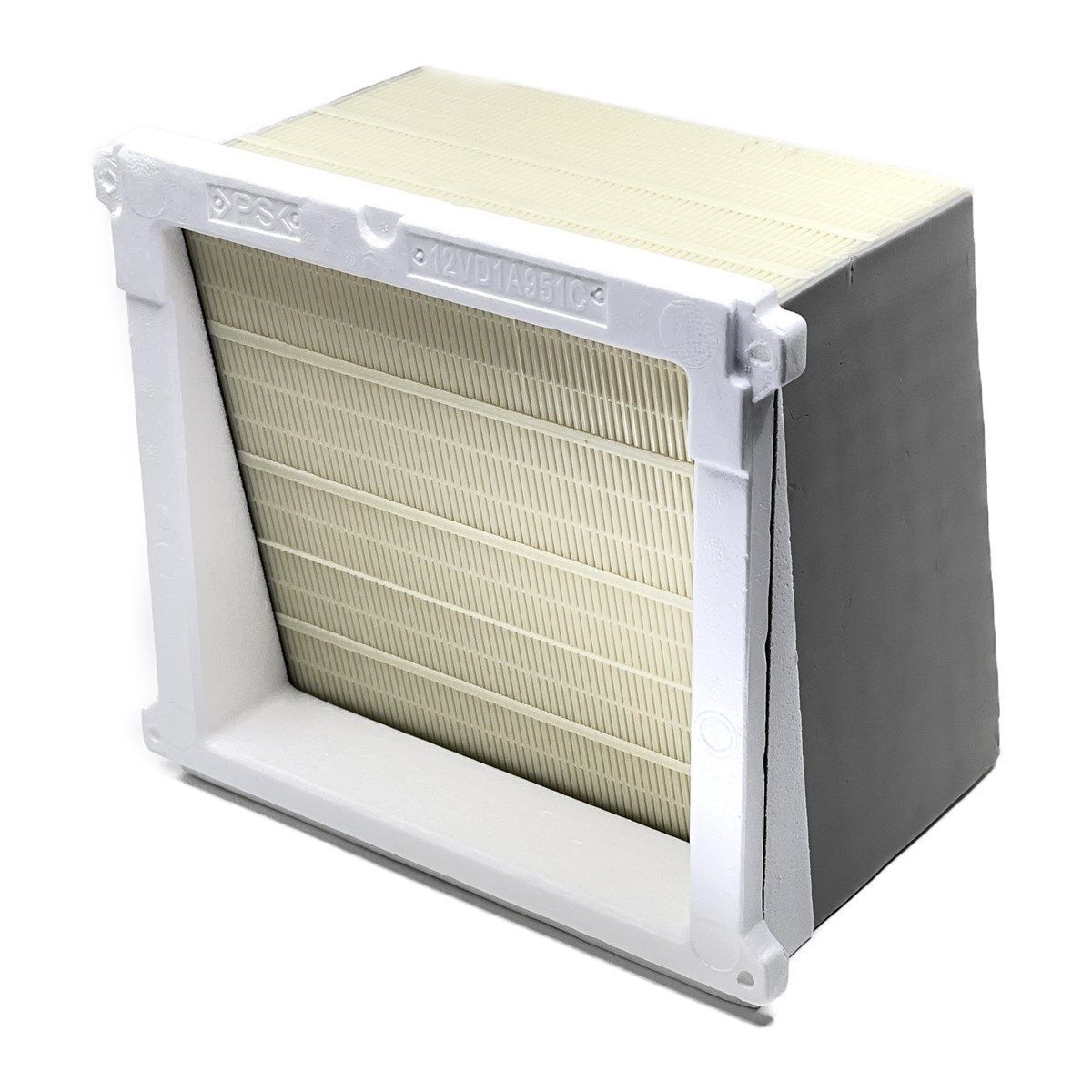 ショップ Top【選抜株】多肉植物 22073 クラウド・ロータス12個 鉢無し