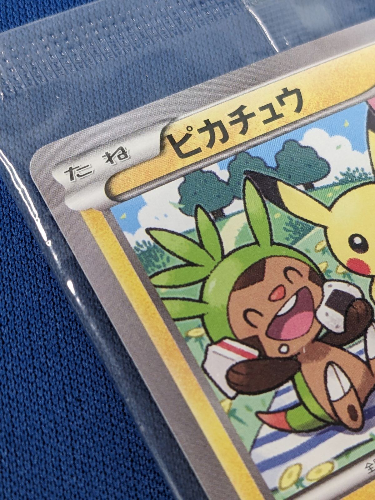 XY サマーキャンペーン2015 セブンイレブン 未開封 プロモ XY サマーキャンペーン 2015 セブンイレブン限定 - メルカリ