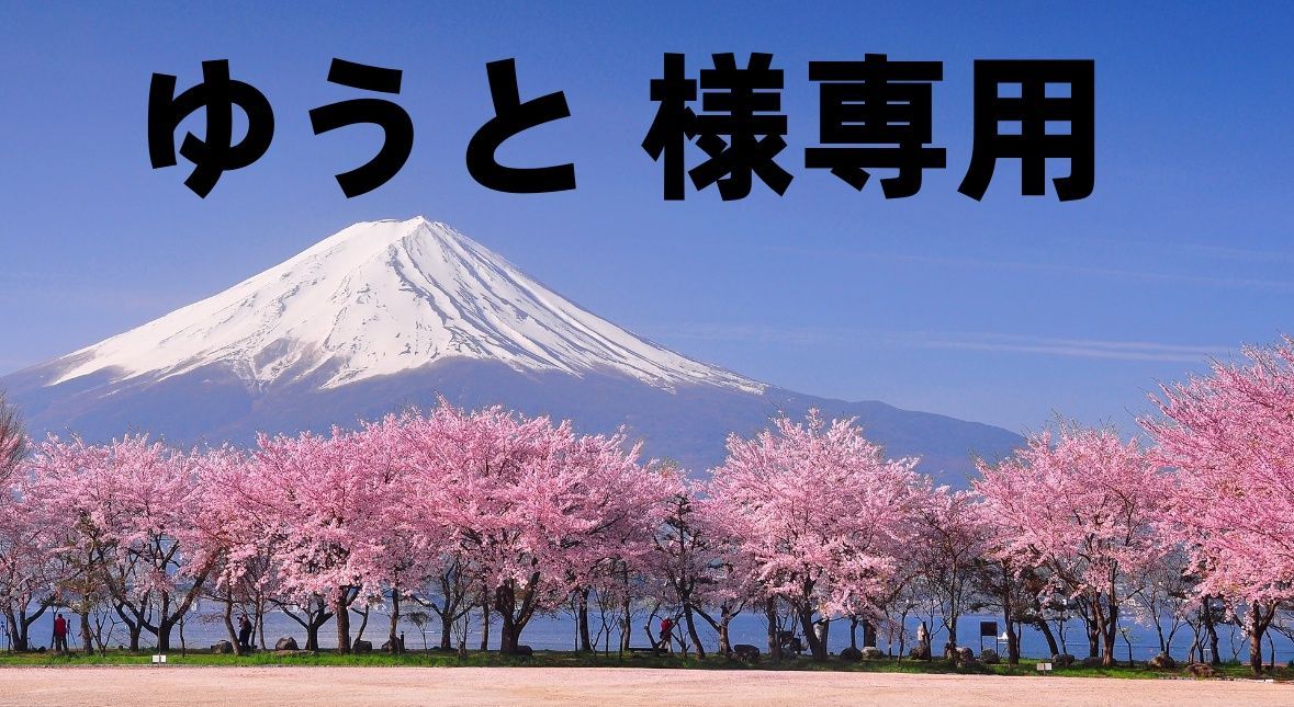 【お買い得，格安】 ゆうと 様専用 文学・小説