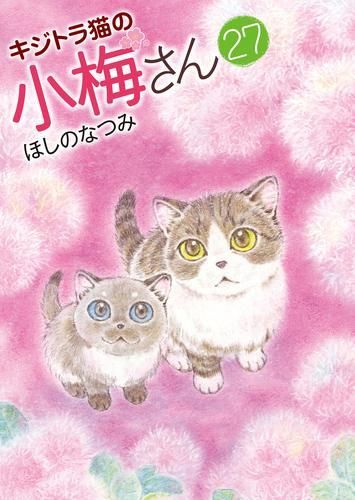 キジトラ猫の小梅さん コミック 1-28巻セット （少年画報社