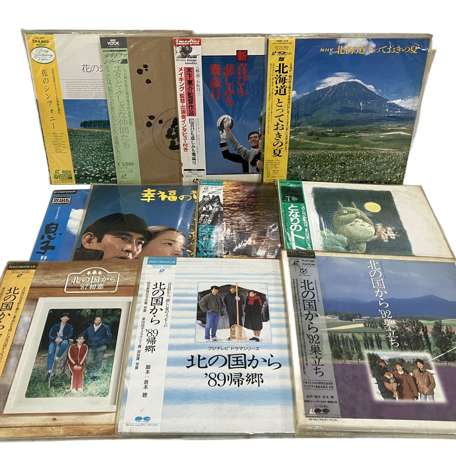 レーザーディスク セット 11枚 北の国から 南極物語 となりのトトロ