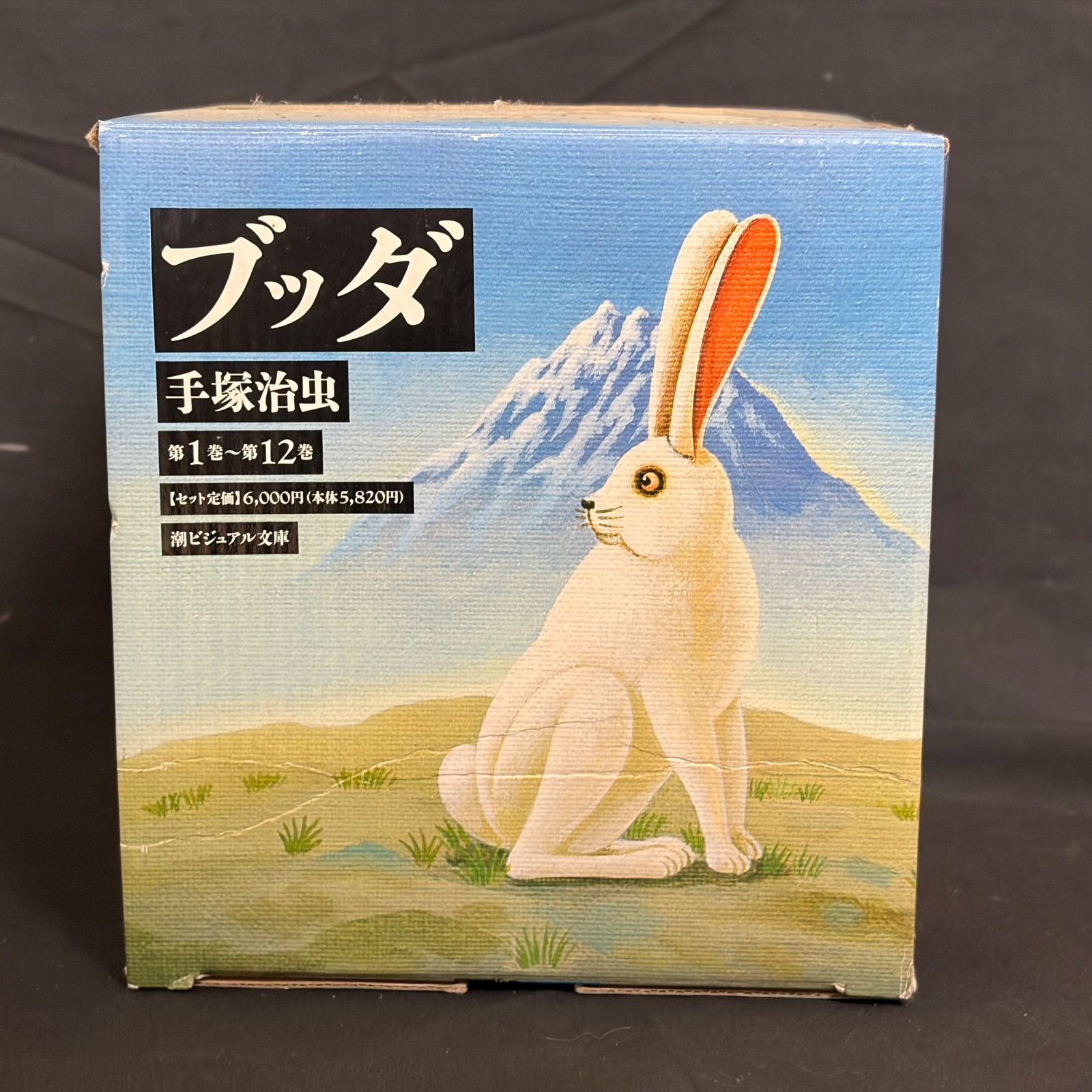 全巻】ブッダ 手塚治虫 潮ビジュアル文庫 第1巻〜第12巻 完結セット