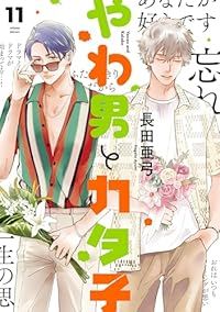 【セール，新作登場】 やわ男とカタ子（1-11巻セット・以下続巻）長田亜弓【2週間以内発送】 女性漫画