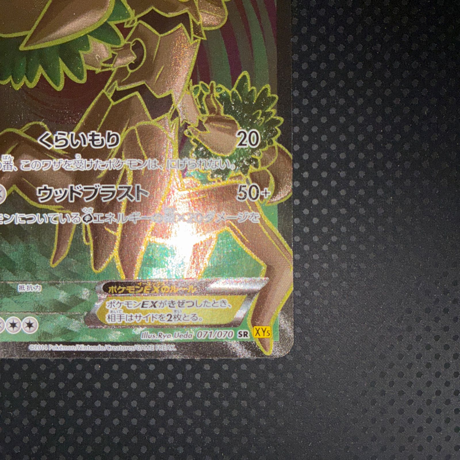 PSA10 オーロットEX SR 071/070 アンリミテット 世界10枚のみ 美品