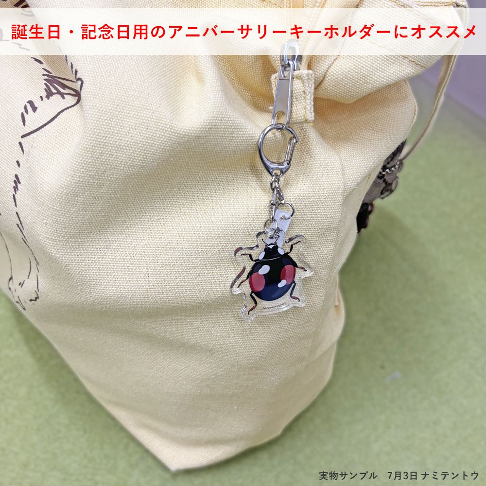 366日昆虫アクリルキーホルダー 1月7日 アシダカグモ 虫好き