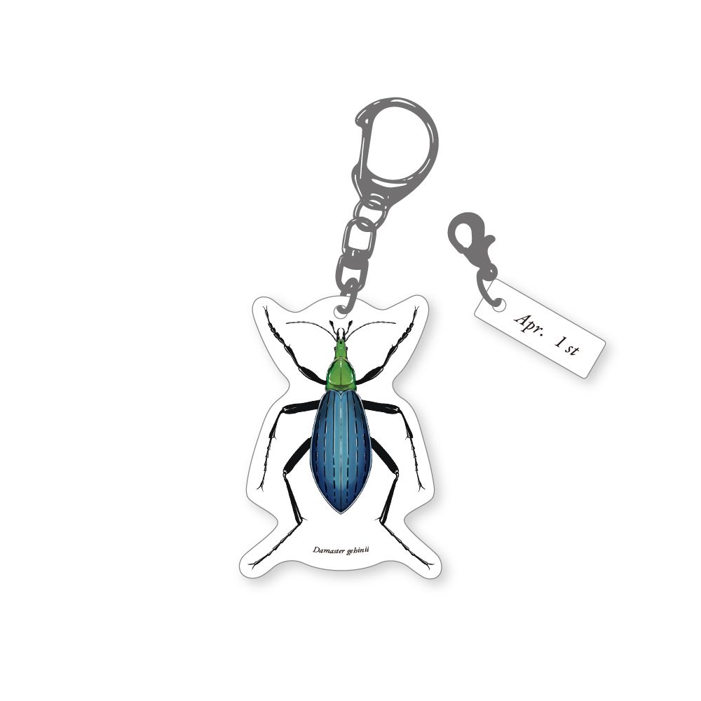 366日昆虫アクリルキーホルダー 4月1日 オオルリオサムシ 虫好き