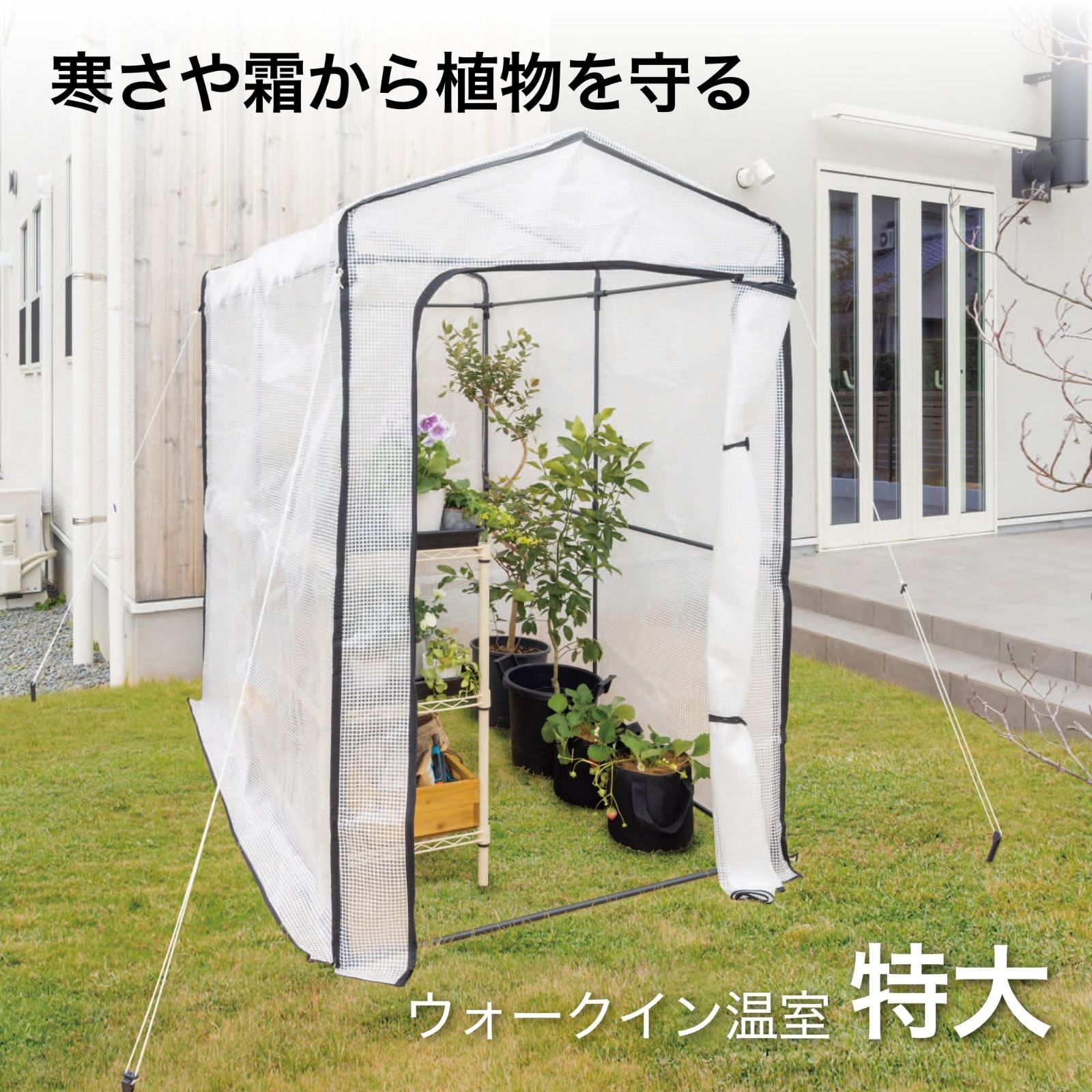 タカショー ビニールハウス ウォークイン温室 特大 W122×D186×H190cm