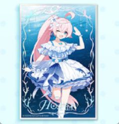 ブルーアーカイブ　小鳥遊ホシノ　色紙 ブルーアーカイブ 小鳥遊ホシノ 色紙 Amazon.co.jp: ブルアカ ブルアカ